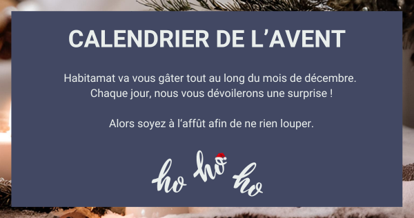 Calendrier de l'Avent